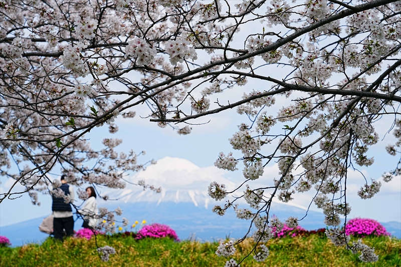 1024_富士市雁堤_静岡