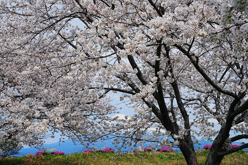 1026_富士市雁堤_静岡
