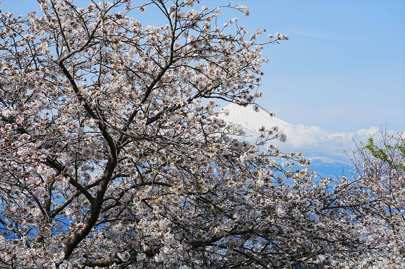 1027_富士市雁堤_静岡