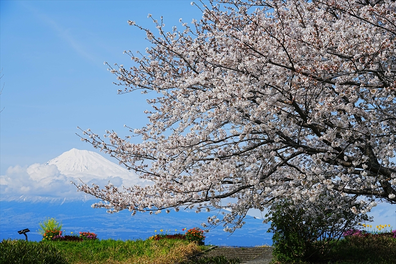 1028_富士市雁堤_静岡