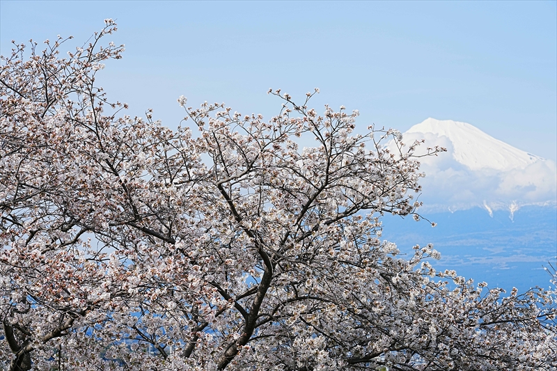 1029_富士市雁堤_静岡