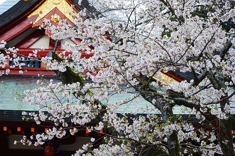 1044_駿河國総社 静岡浅間神社_静岡