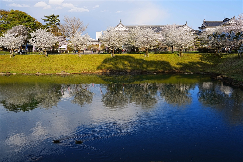 1014_駿府城_静岡