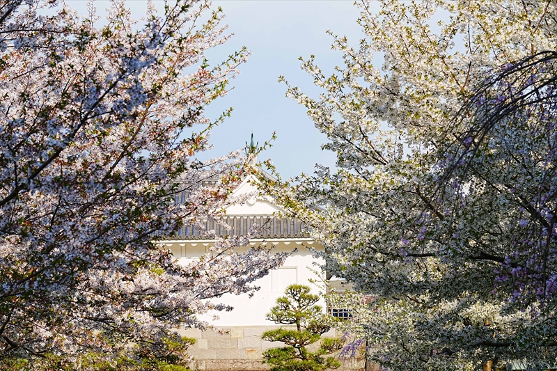 1016_駿府城_静岡