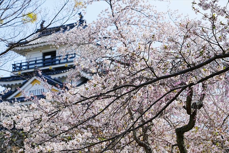 1067_浜松城_静岡