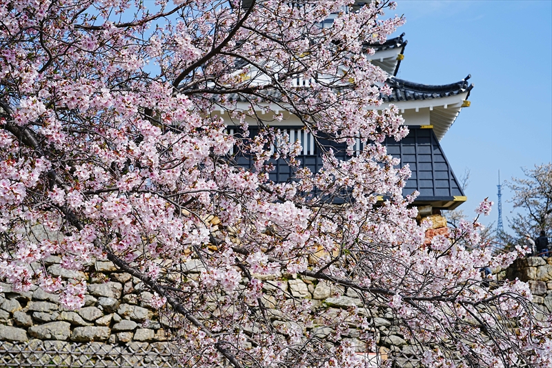 1073_浜松城_静岡