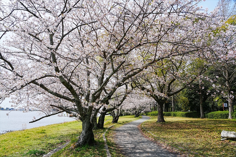 1034_佐鳴湖公園_静岡