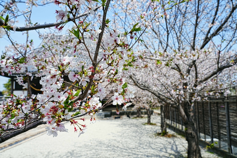 1081_大垣城_岐阜