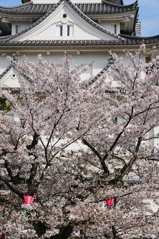 1085_大垣城_岐阜