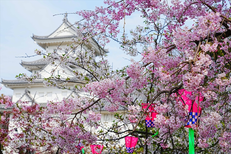 1086_大垣城_岐阜