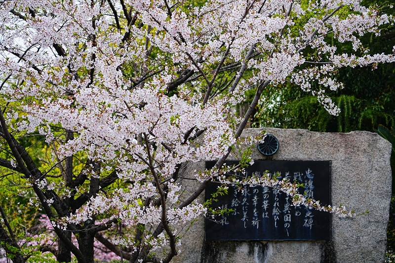 1093_大垣城_岐阜