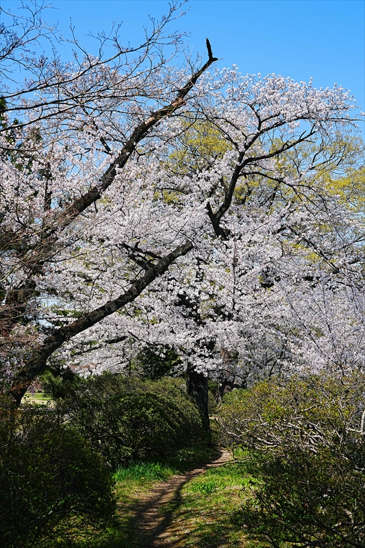 1009_高崎城址公園_群馬