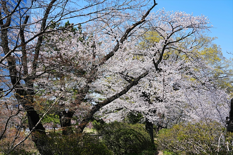 1010_高崎城址公園_群馬