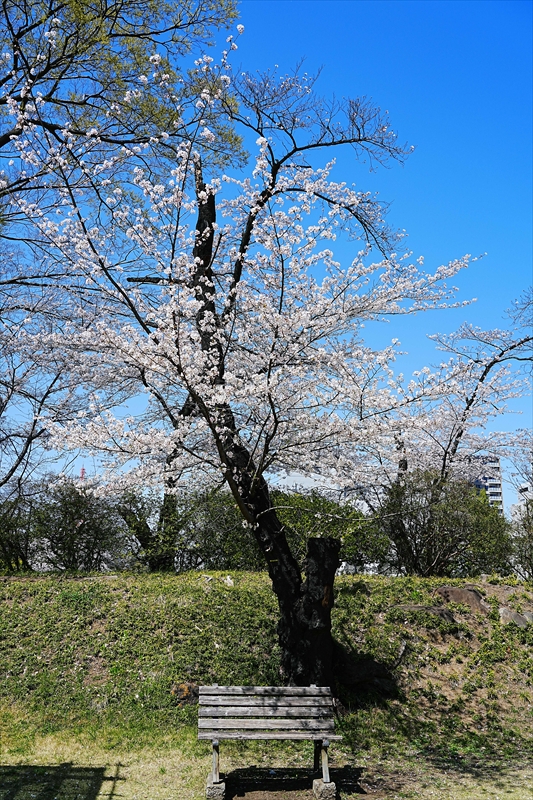 1011_高崎城址公園_群馬