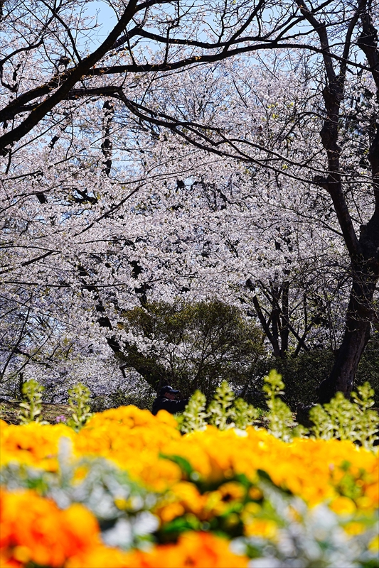 1013_高崎城址公園_群馬