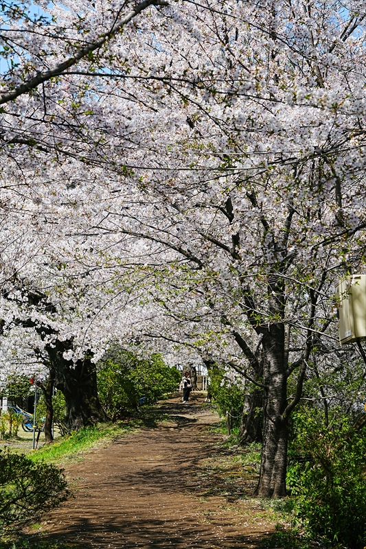 1015_高崎城址公園_群馬