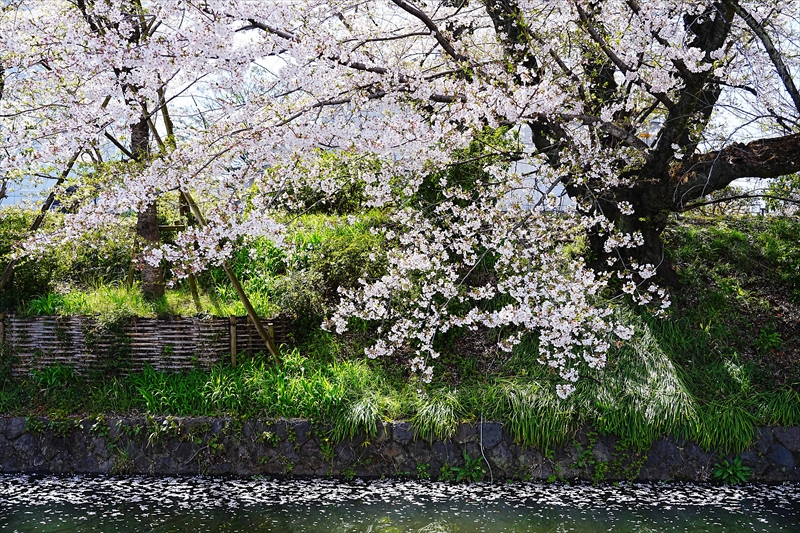 1018_高崎城址公園_群馬