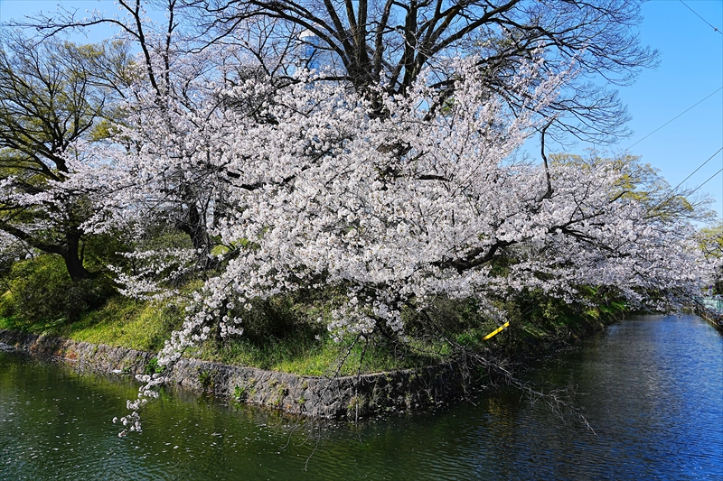 1021_高崎城址公園_群馬