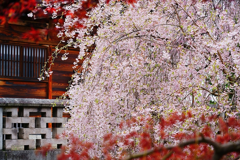 1043_柏山寺_山形