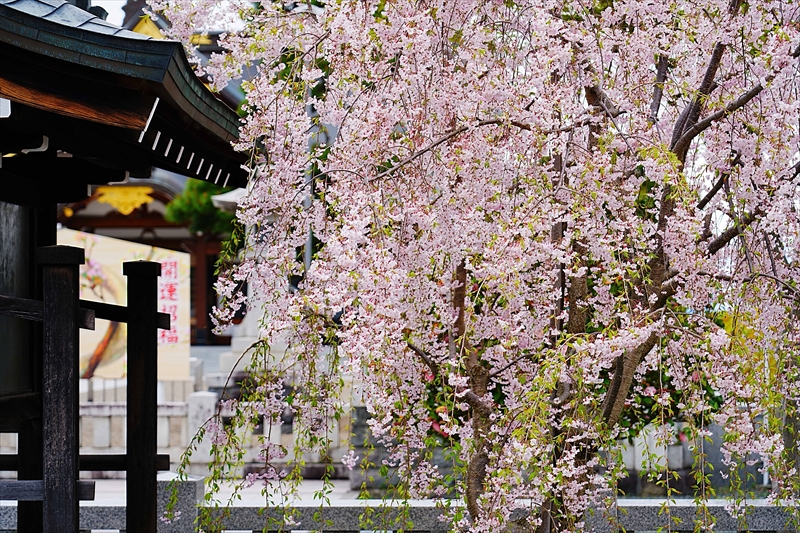 1104_山形縣護國神社_山形