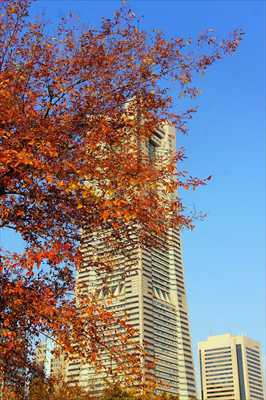 1015_汽車道_神奈川