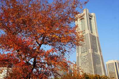 1016_汽車道_神奈川