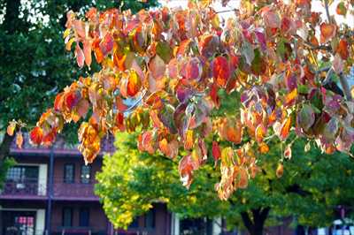 1040_臨港パーク_神奈川