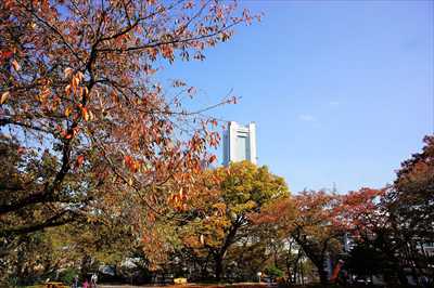 1050_掃部山公園_神奈川