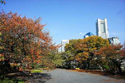 1051_掃部山公園_神奈川