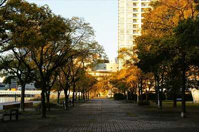 1002_ポートサイド公園_神奈川