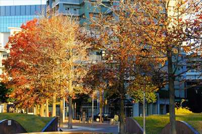 1003_ポートサイド公園_神奈川