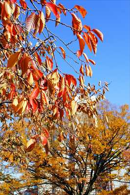 1019_汽車道_神奈川