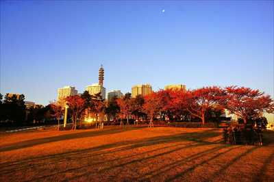 1041_臨港パーク_神奈川