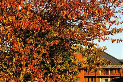 1008_赤レンガ倉庫_神奈川