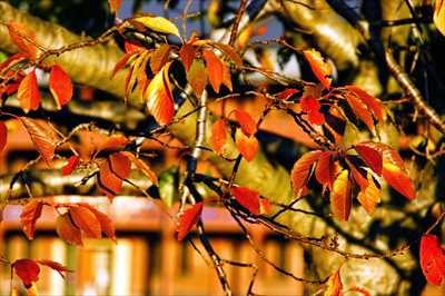 1009_赤レンガ倉庫_神奈川