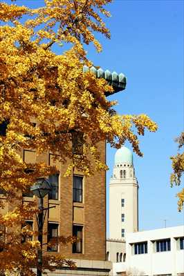 神奈川県庁_神奈川