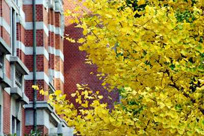 横浜開港記念館_神奈川