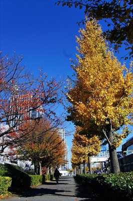 1010_みなとみらい_神奈川