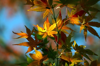 _横浜市新羽町_神奈川