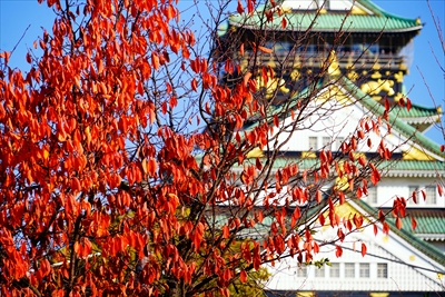 大阪城_大阪