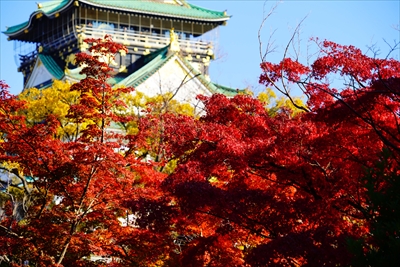 1023_大阪城_大阪