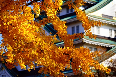 1025_大阪城_大阪