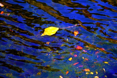 1031_大阪城_大阪