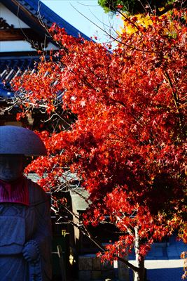 1122_神戸市須磨寺_兵庫