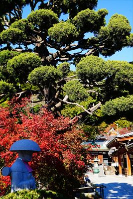 1123_神戸市須磨寺_兵庫
