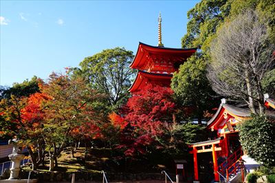 1125_神戸市須磨寺_兵庫