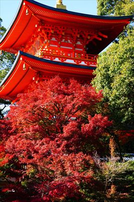 1126_神戸市須磨寺_兵庫