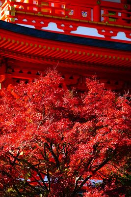 1127_神戸市須磨寺_兵庫