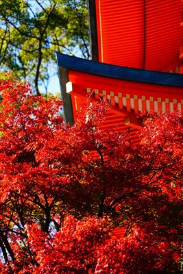 1128_神戸市須磨寺_兵庫