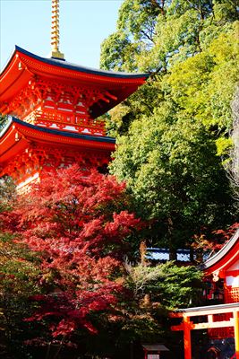1129_神戸市須磨寺_兵庫